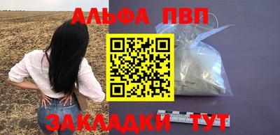 прущие грибы Будённовск
